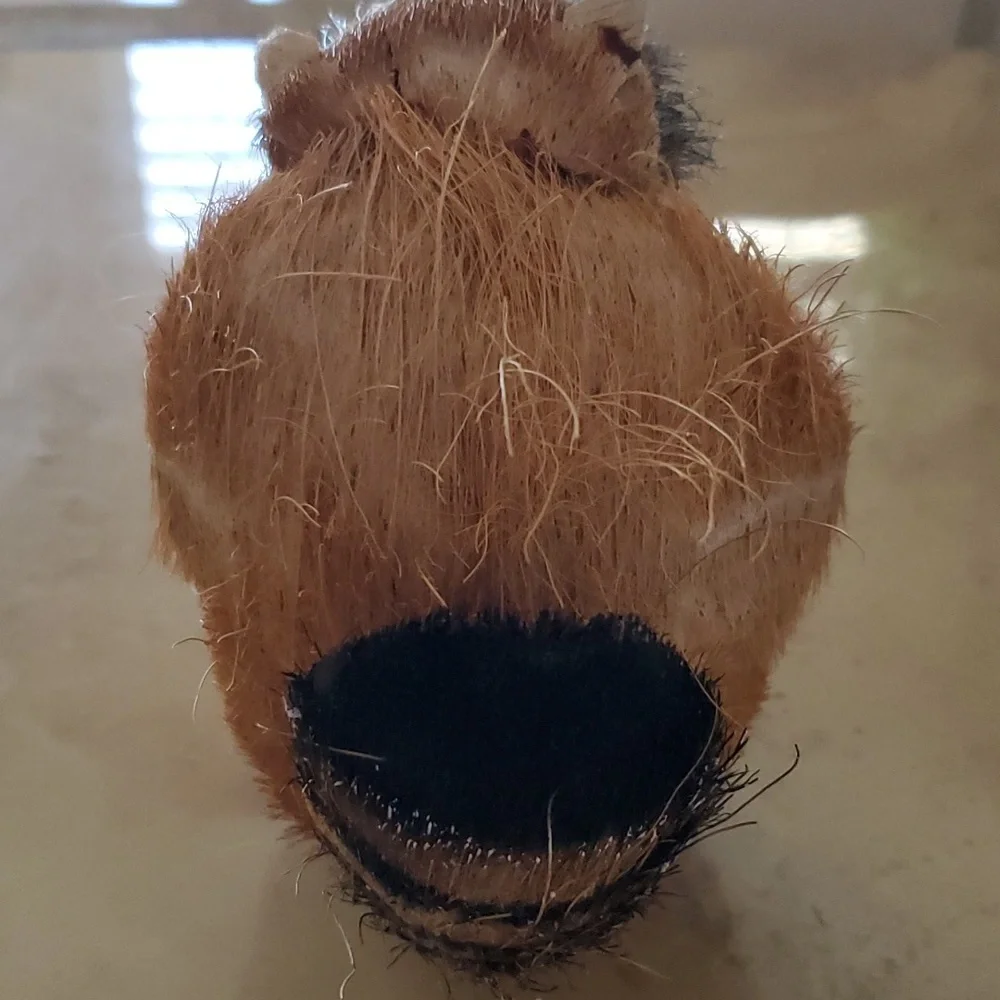 Vintage Raccoon Coconut Vase